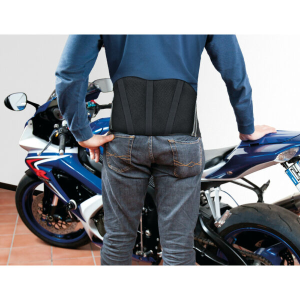 FASCIA LOMBARE ELASTICA LAMPA Art 91328, T-Maxter Back,