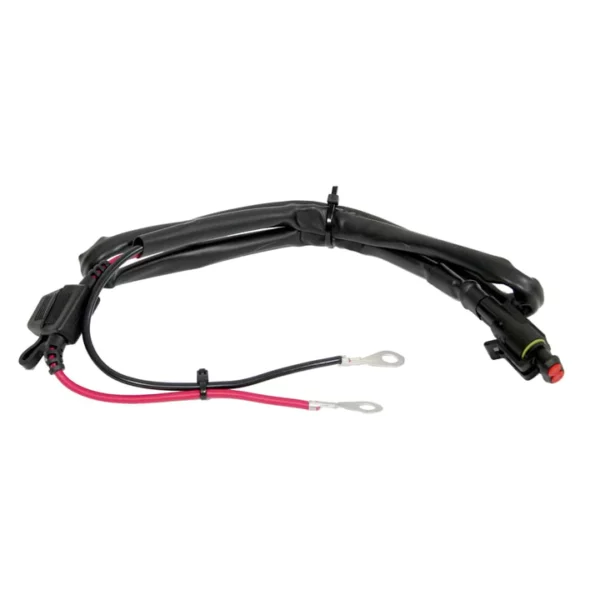 BC JUNIOR 900, Caricabatteria e Mantenitore Batterie Auto e Moto 12V Piombo-Acido, 1 Amp