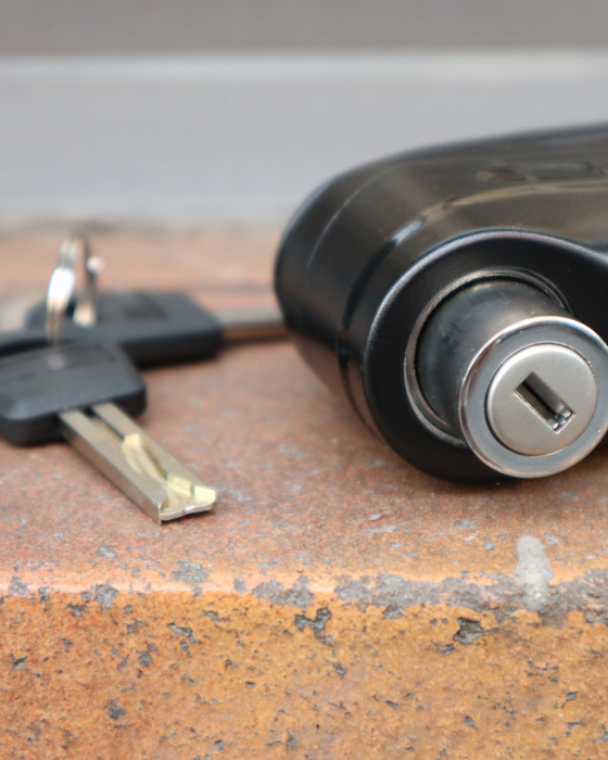 Lucchetto bloccadisco universale per disco con fori da 5.5 mm di diametro